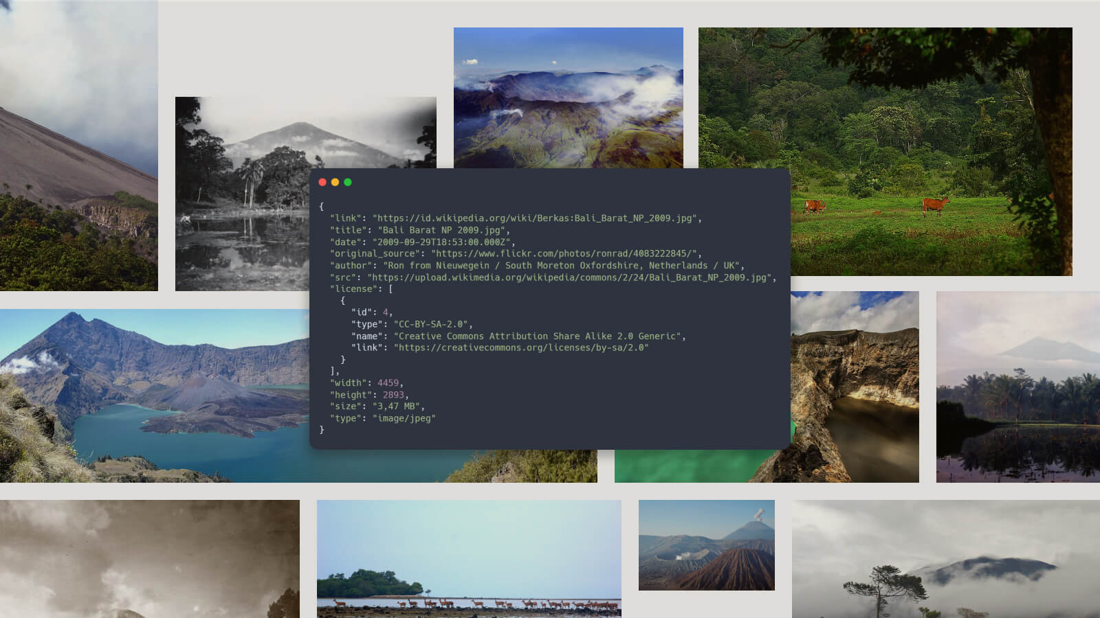 Pictures from wikipedia as background and metadata code snippets in the middle
